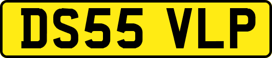 DS55VLP