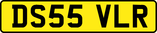 DS55VLR