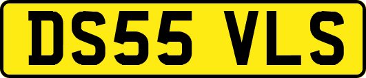 DS55VLS