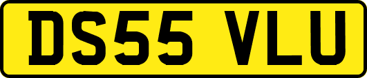 DS55VLU