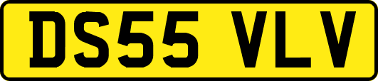 DS55VLV