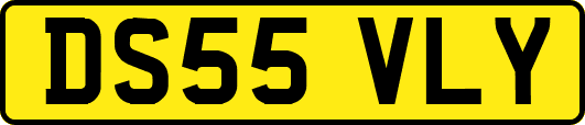 DS55VLY