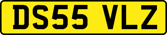 DS55VLZ
