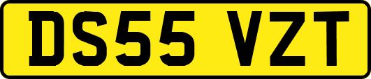 DS55VZT