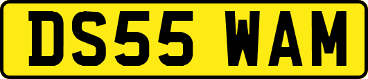 DS55WAM