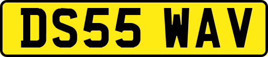 DS55WAV