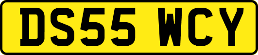 DS55WCY