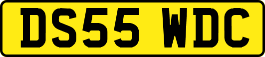 DS55WDC