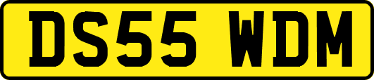 DS55WDM