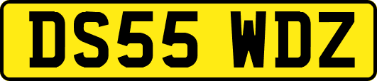 DS55WDZ