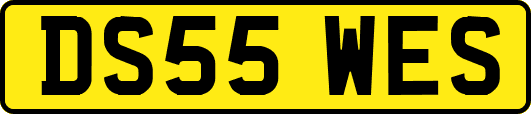 DS55WES