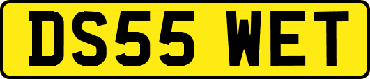 DS55WET