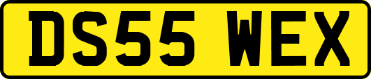 DS55WEX