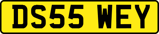 DS55WEY