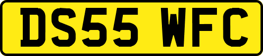 DS55WFC
