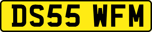 DS55WFM