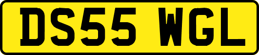 DS55WGL