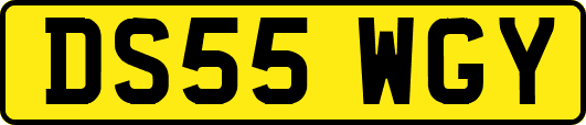 DS55WGY