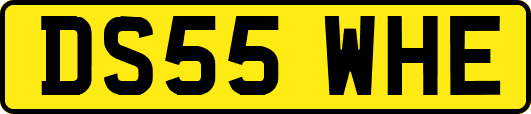 DS55WHE