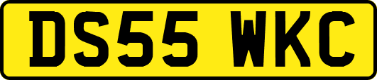 DS55WKC