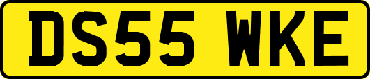 DS55WKE