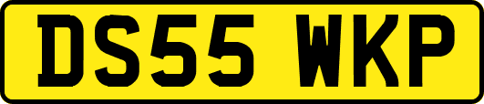 DS55WKP