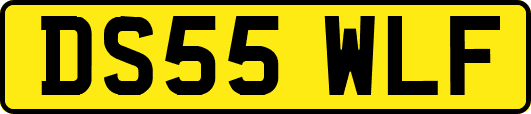 DS55WLF