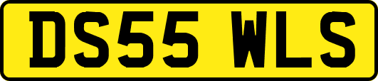 DS55WLS