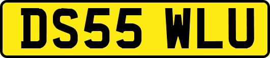 DS55WLU