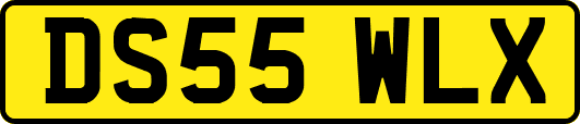 DS55WLX