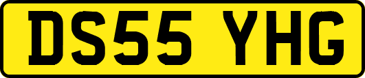 DS55YHG