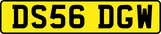 DS56DGW