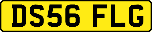 DS56FLG