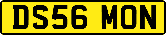 DS56MON