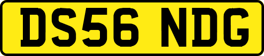 DS56NDG