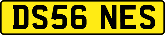 DS56NES