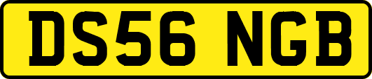 DS56NGB