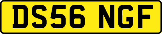 DS56NGF
