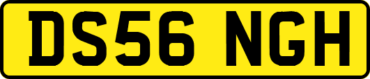 DS56NGH