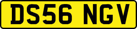DS56NGV
