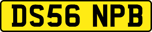 DS56NPB