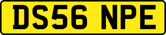 DS56NPE