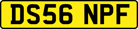 DS56NPF