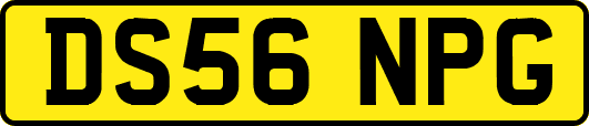 DS56NPG