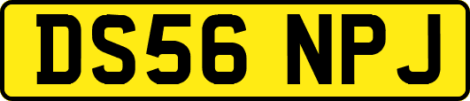 DS56NPJ