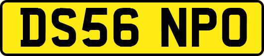 DS56NPO