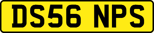 DS56NPS