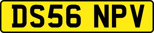 DS56NPV