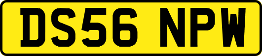 DS56NPW