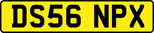 DS56NPX
